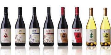 中葡酒业尼雅酿酒师系列 家饮市场的新选择